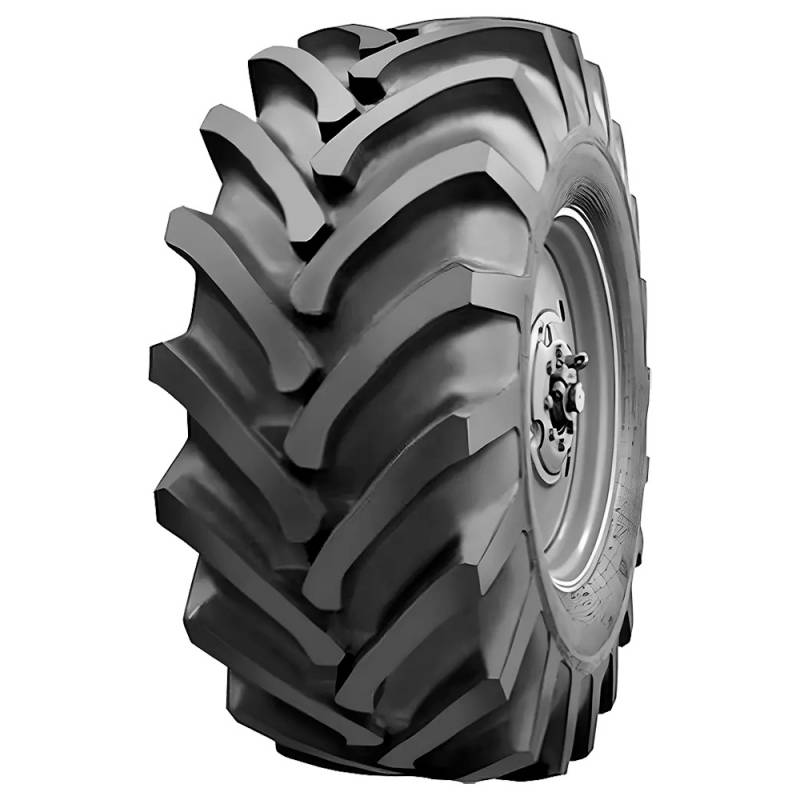 Belshina ���-79